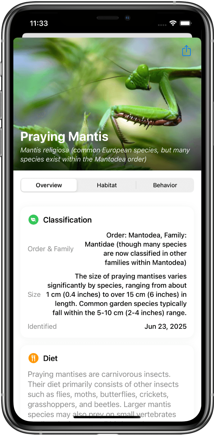 Bug Identifier App Interface